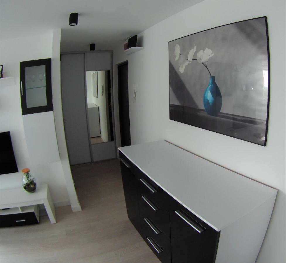 Apartament Miedzianka Polkowice Exterior photo